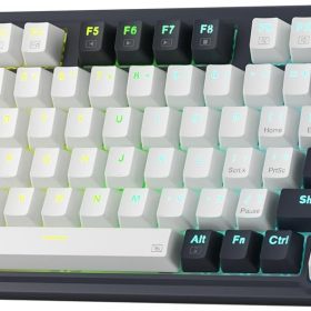 Wireless  Gaming Keyboard, 3-Modes 81 Keys Compact Mechanical Keyboard Hot-Swap Socket, Dedicated Knob Control and Sound Absorbing Pads, Linear Red Switch